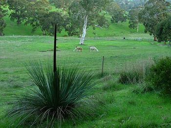 Bed & Breakfast Seascape Retreat